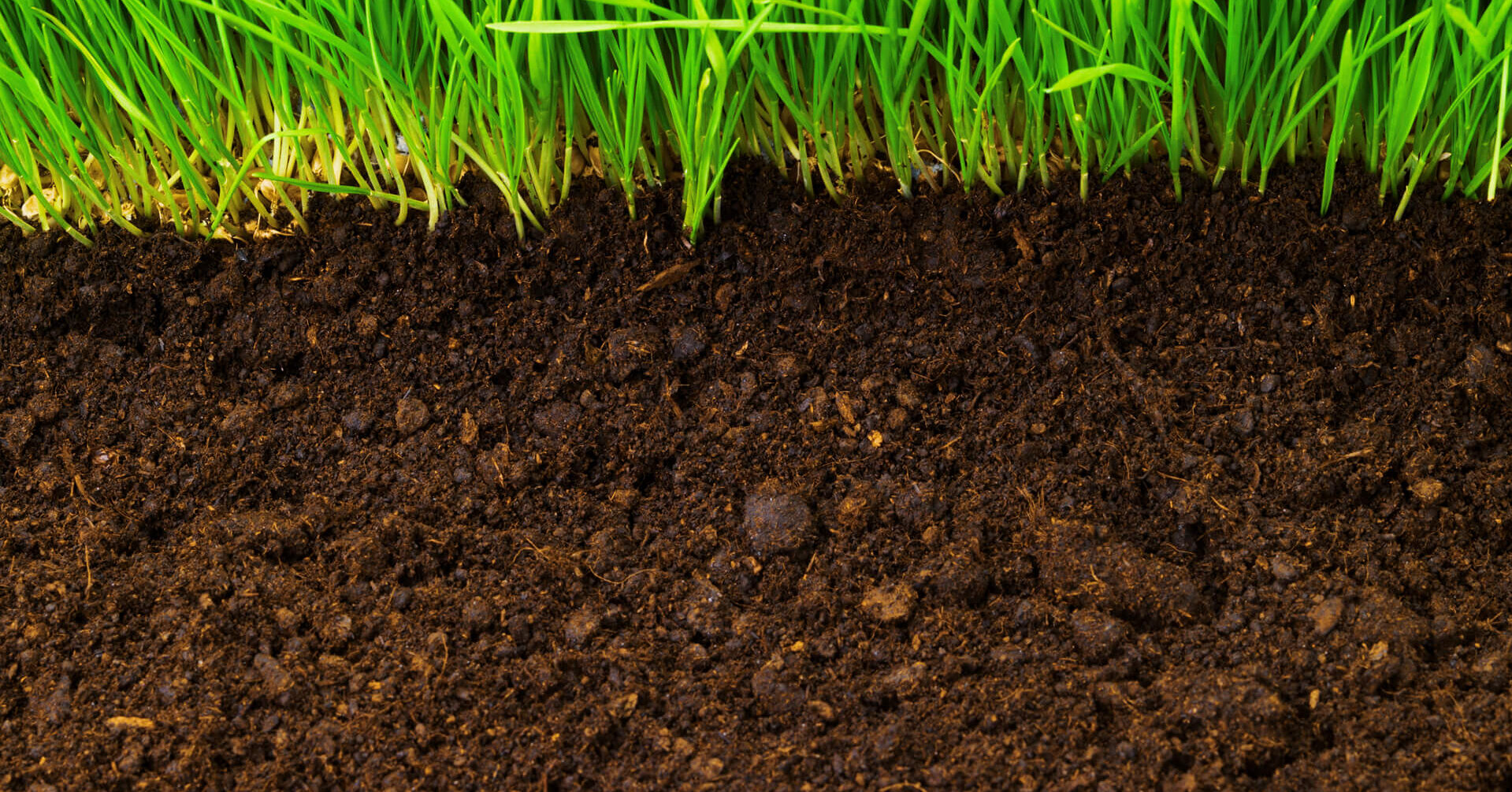 矿物质检测分析