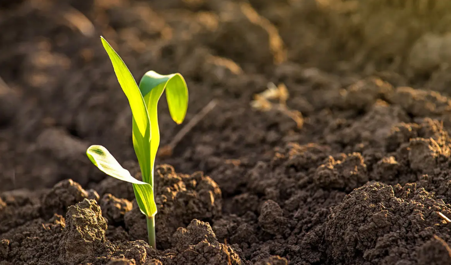 种植土检测分析